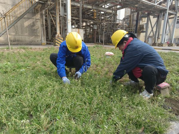 3月22日，行政保衛(wèi)部馬師傅和孫師傅在道路兩旁清除雜草。.jpg