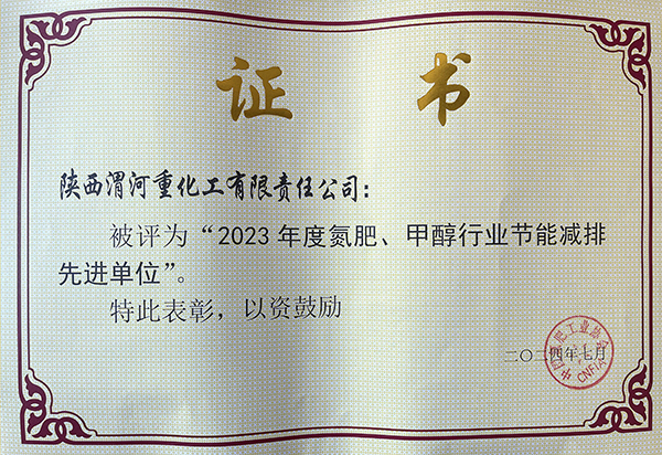 2024年7月重化工公司獲得氮肥協(xié)會頒發(fā)的節(jié)能減排先進單位.jpg